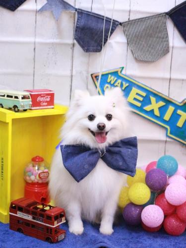 20230411ゆずちゃん